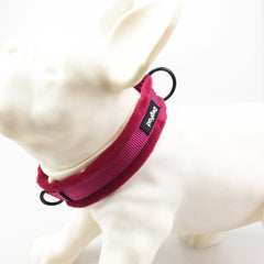 Fashion & Comfort Soft Pet Collar