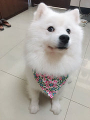 Adjustable Pet Printed Bandana